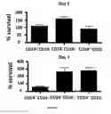 Fig. 13 - Methods for obtaining regulatory T cells and uses thereof