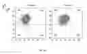 Fig. 05 - SYNTHETIC MEMBRANE-RECEIVER COMPLEXES