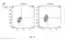 Fig. 12 - SYNTHETIC MEMBRANE-RECEIVER COMPLEXES