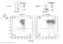 Fig. 14 - SYNTHETIC MEMBRANE-RECEIVER COMPLEXES