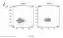 Fig. 16 - SYNTHETIC MEMBRANE-RECEIVER COMPLEXES