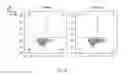 Fig. 22 - SYNTHETIC MEMBRANE-RECEIVER COMPLEXES