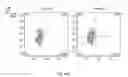 Fig. 26 - SYNTHETIC MEMBRANE-RECEIVER COMPLEXES
