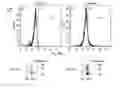 Fig. 30 - SYNTHETIC MEMBRANE-RECEIVER COMPLEXES