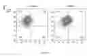 Fig. 05 - SYNTHETIC MEMBRANE-RECEIVER COMPLEXES
