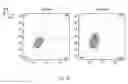 Fig. 07 - SYNTHETIC MEMBRANE-RECEIVER COMPLEXES