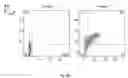 Fig. 08 - SYNTHETIC MEMBRANE-RECEIVER COMPLEXES
