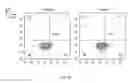 Fig. 09 - SYNTHETIC MEMBRANE-RECEIVER COMPLEXES