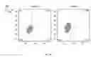 Fig. 12 - SYNTHETIC MEMBRANE-RECEIVER COMPLEXES