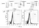 Fig. 13 - SYNTHETIC MEMBRANE-RECEIVER COMPLEXES