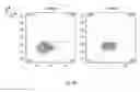 Fig. 16 - SYNTHETIC MEMBRANE-RECEIVER COMPLEXES