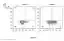 Fig. 25 - SYNTHETIC MEMBRANE-RECEIVER COMPLEXES