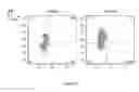 Fig. 27 - SYNTHETIC MEMBRANE-RECEIVER COMPLEXES