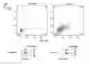 Fig. 29 - SYNTHETIC MEMBRANE-RECEIVER COMPLEXES