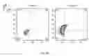 Fig. 32 - SYNTHETIC MEMBRANE-RECEIVER COMPLEXES