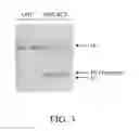 Fig. 04 - COMPOSITIONS AND METHODS RELATED TO MULTIMODAL THERAPEUTIC CELL SYSTEMS FOR AUTOIMMUNE INDICATIONS