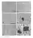 Fig. 01 - DIFFERENTIATING INDUCED PLURIPOTENT STEM CELLS INTO GLUCOSE-RESPONSIVE, INSULIN-SECRETING PROGENY