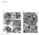 Fig. 14 - DIFFERENTIATING INDUCED PLURIPOTENT STEM CELLS INTO GLUCOSE-RESPONSIVE, INSULIN-SECRETING PROGENY