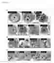 Fig. 20 - DIFFERENTIATING INDUCED PLURIPOTENT STEM CELLS INTO GLUCOSE-RESPONSIVE, INSULIN-SECRETING PROGENY