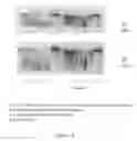 Fig. 22 - Therapeutic nuclease compositions and methods