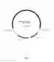 Fig. 03 - CRISPR/CPF1 systems and methods