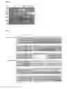 Fig. 03 - Cells producing glycoproteins having altered N- and O-glycosylation patterns and methods and use thereof