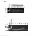 Fig. 04 - Cells producing glycoproteins having altered N- and O-glycosylation patterns and methods and use thereof