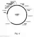 Fig. 05 - Methods of increasing the cellulolytic enhancing activity of a polypeptide