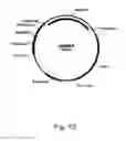 Fig. 17 - Methods of increasing the cellulolytic enhancing activity of a polypeptide