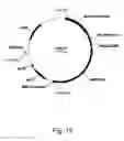 Fig. 22 - Methods of increasing the cellulolytic enhancing activity of a polypeptide