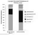 Fig. 01 - Combined lysis protocol for comprehensive cell lysis
