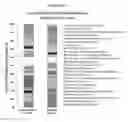 Fig. 05 - Combined lysis protocol for comprehensive cell lysis