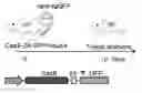 Fig. 01 - Compositions comprising nucleic acids and methods of using the same