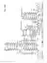 Fig. 22 - Compositions comprising nucleic acids and methods of using the same