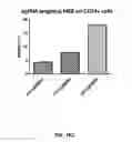 Fig. 46 - Compositions comprising nucleic acids and methods of using the same