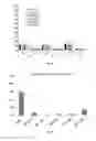 Fig. 08 - Cancer specific-splicing ribozyme and use thereof