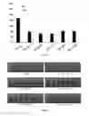 Fig. 09 - Cancer specific-splicing ribozyme and use thereof