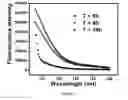 Fig. 04 - Nucleic acid functionalized nanoparticles for therapeutic applications