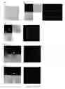 Fig. 12 - Nucleic acid functionalized nanoparticles for therapeutic applications