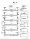 Fig. 02 - Methods and compositions for enhancing the efficacy and specificity of single and double blunt-ended siRNA