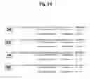 Fig. 09 - Methods and compositions for enhancing the efficacy and specificity of single and double blunt-ended siRNA