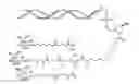 Fig. 02 - METHODS AND COMPOSITIONS FOR TREATING A PROPROTEIN CONVERTASE SUBTILISIN KEXIN (PCSK9) GENE-ASSOCIATED DISORDER