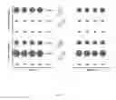 Fig. 04 - Recombinant Cells and Organisms Having Persistent Nonstandard Amino Acid Dependence and Methods of Making Them
