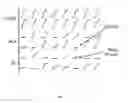 Fig. 06 - Recombinant Cells and Organisms Having Persistent Nonstandard Amino Acid Dependence and Methods of Making Them