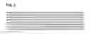 Fig. 04 - Compositions and methods for clostridial transformation