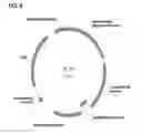 Fig. 09 - Compositions and methods for clostridial transformation