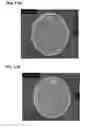 Fig. 22 - Compositions and methods for clostridial transformation