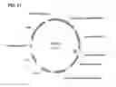 Fig. 28 - Compositions and methods for clostridial transformation