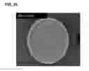 Fig. 36 - Compositions and methods for clostridial transformation