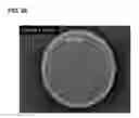 Fig. 37 - Compositions and methods for clostridial transformation